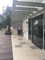 The Rochester Residences (D5), Condominium #38631942